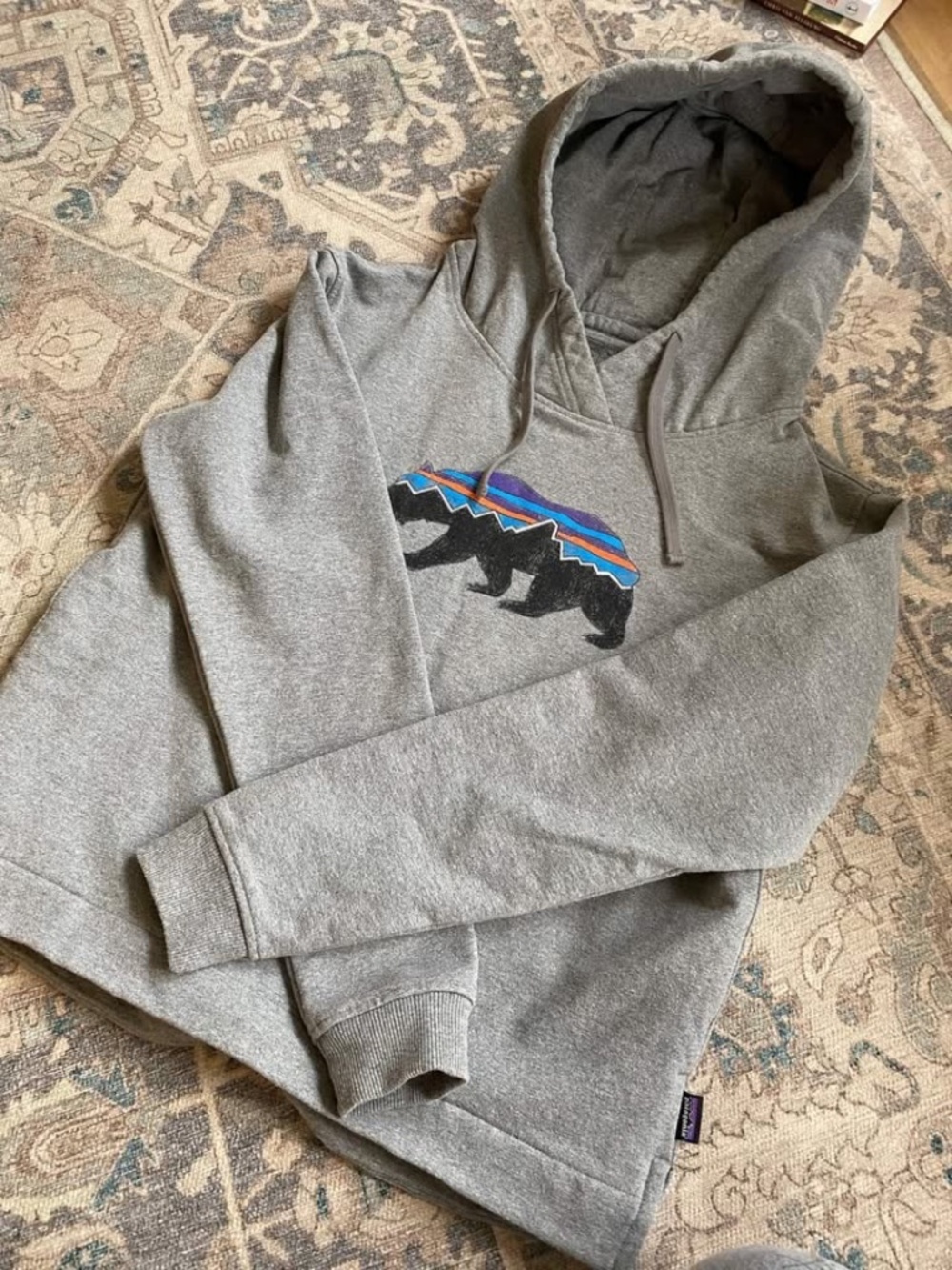 Patagonia Hoodie